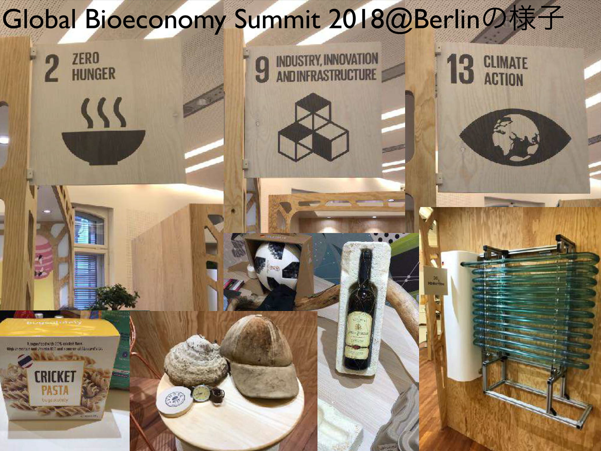 Global Bioeconomy Summit 2018@Berlinの様子