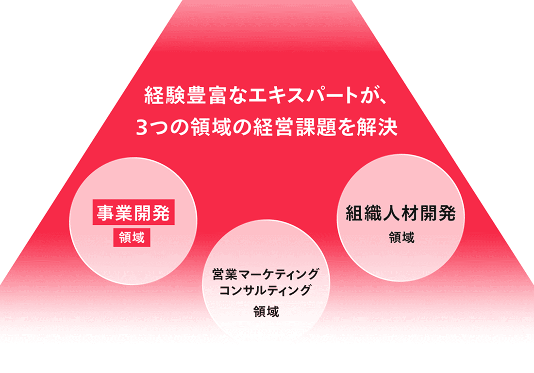 経験豊富なエキスパートが、3つの領域の経営課題を解決